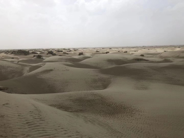 婚前買的房子離婚后房子增值部分算誰的?上海市婚姻糾紛律師來回答