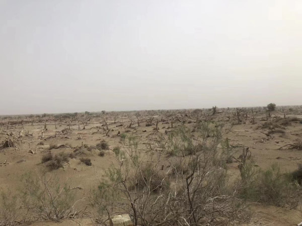 證明婚外情需要什么證據呢？能要求哪些賠償呢？上海婚外情離婚律師為你解答