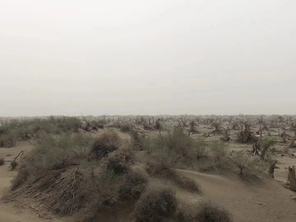 人身保護令知多少？上海浦東婚姻律師為您解答