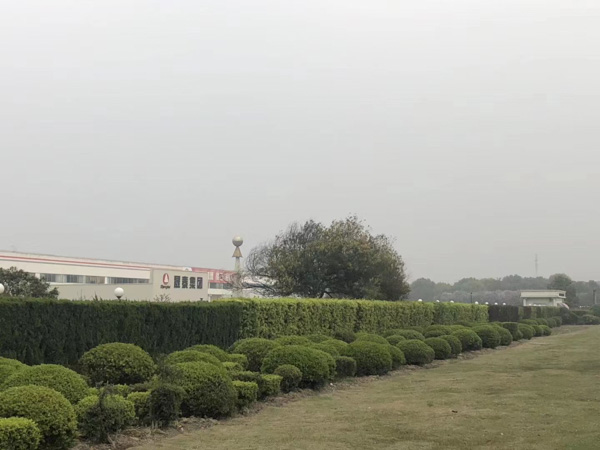 上海知名的離婚律師來講講孩子不是自己的該怎么辦