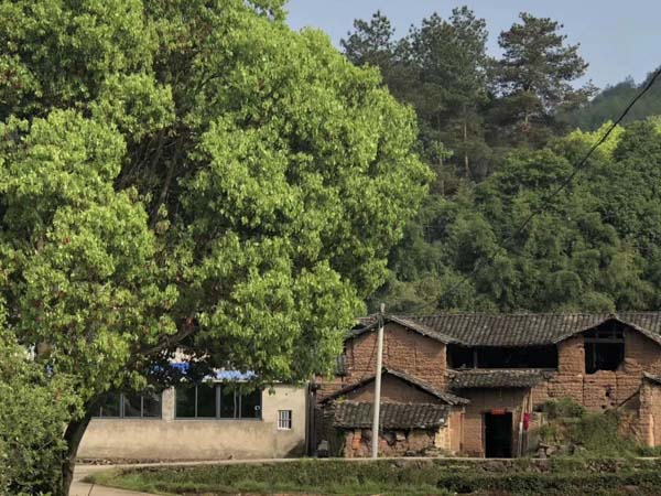 婚后共同生活期間的夫妻共同財產離婚時如何確定？上海市優秀律師告訴您