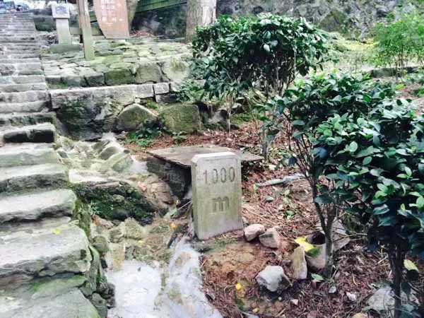 上海遺產繼承律師：關于遺產繼承的這些法律知識，你必須要知道！