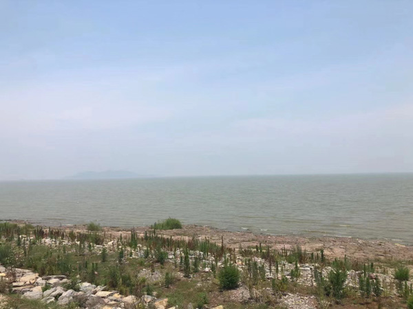 上海婚姻律師解答：離婚時子女撫養(yǎng)權(quán)歸誰？撫養(yǎng)費該給多少呢？