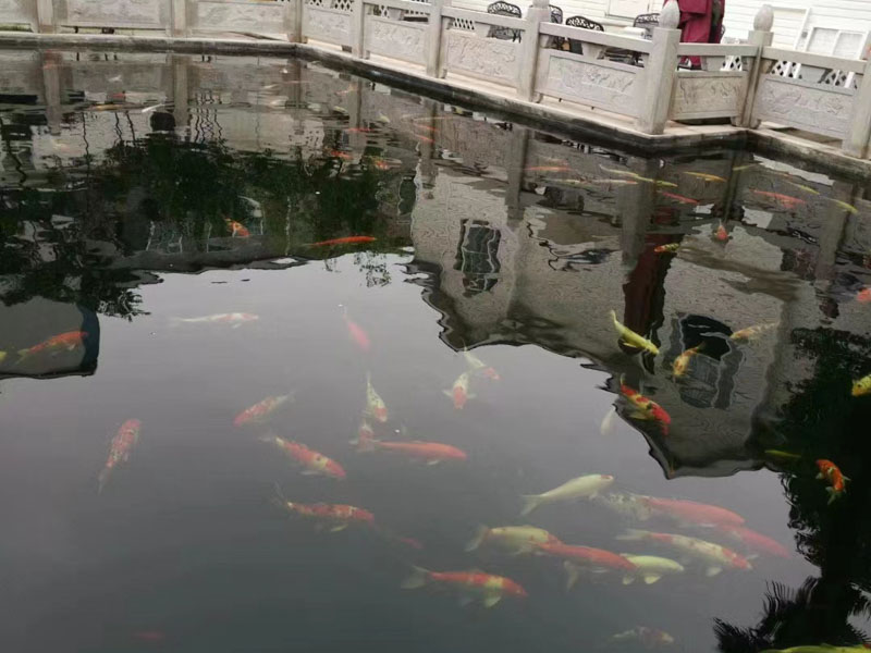 上海婚姻房產律師為您講解對于當事人離婚給孩子的房子屬于個人財產嗎？法律知識。