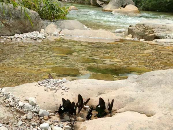 收了彩禮后，還需要退還嗎？普陀婚姻律師為你講解最新法律規定