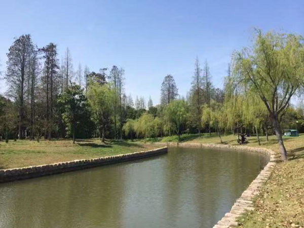 夫妻離婚財(cái)產(chǎn)分割中該給孩子分多少？上海知名離婚律師來回答