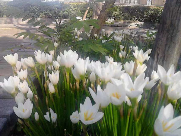 丈夫出軌導致婚姻解散，孩子撫養問題如何解決？上海撫養權律師為您提供專業法律回答