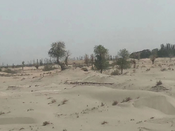 如何確定未成年人的監護人？上?；橐龉偎韭蓭煘槟獯? src="/uploads/76/623.jpg"/></p>
<p>
　　一、未成年人的監護人
</p>
<p>
　　對未成年人設立監護人。未成年人的監護人的設立又可以發展分為具有以下分析幾種不同情況：
</p>
<p>
　　1、未成年人的父母是未成年人的監護人;。
</p>
<p>
　　2、如該未成年人的父母已去世或無能力監護，則監護責任須由該未成年人的祖父母、外祖父母、有能力監護的兄弟姊妹或與該未成年人有密切關系并愿意承擔監護責任的人，以及該未成年人的父母單位或該未成年人居住地的居民委員會所同意的其他親友作為監護人而承擔。
</p>
<p>
　　3、若無上述法定監護人的，由未成年人的父、母的所在單位或者未成年人住所地的居民委員會、村民委員會或者民政部門擔任監護人。
</p>
<p>
　　二、設置監護人的方法有哪些？
</p>
<p>
　　監護人的設立即要求監護人的選任。對此，存在以下四種不同方式：
</p>
<p>
　　1、法定監護
</p>
<p>
　　法定監護是指監護人直接依照法律規定產生。
</p>
<p style="TEXT-ALIGN: center"><img alt=