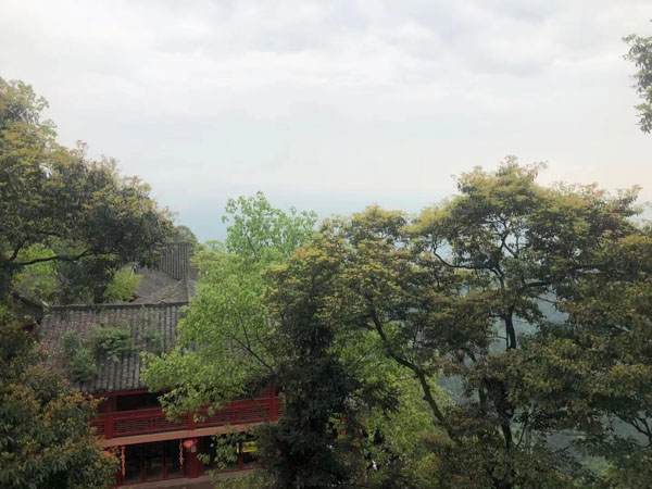 離婚案件如何分割股票投資基金份額等有價證券？黃浦婚姻律師帶您了解