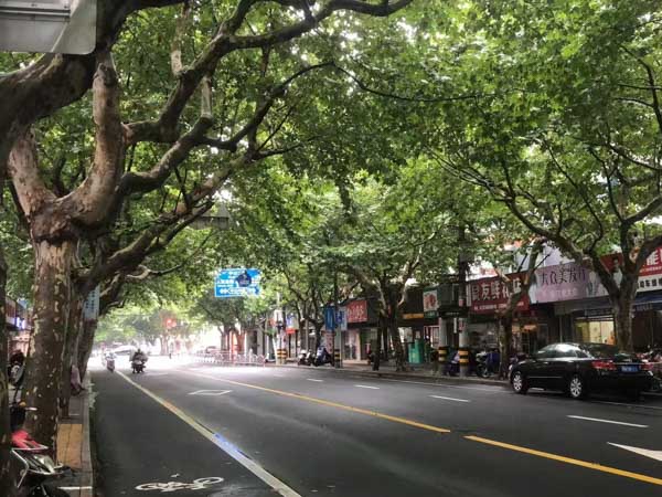 分居半年可以起訴離婚嗎？上海離婚訴訟律師告訴你