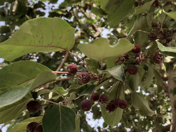 上海律師服務網(wǎng)為您講解婚姻存續(xù)期間鋪位承租權是否屬于夫妻共同財產(chǎn)