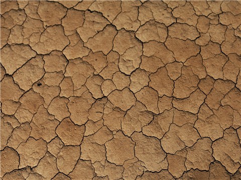 離婚時家庭付出多的一方是否有權請求補償