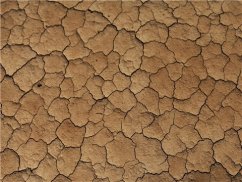 青浦區(qū)協(xié)議離婚的主管機(jī)關(guān)和程序