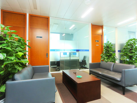 上海律師哪個好 年輕律師可以找嗎上海律師哪個專業好